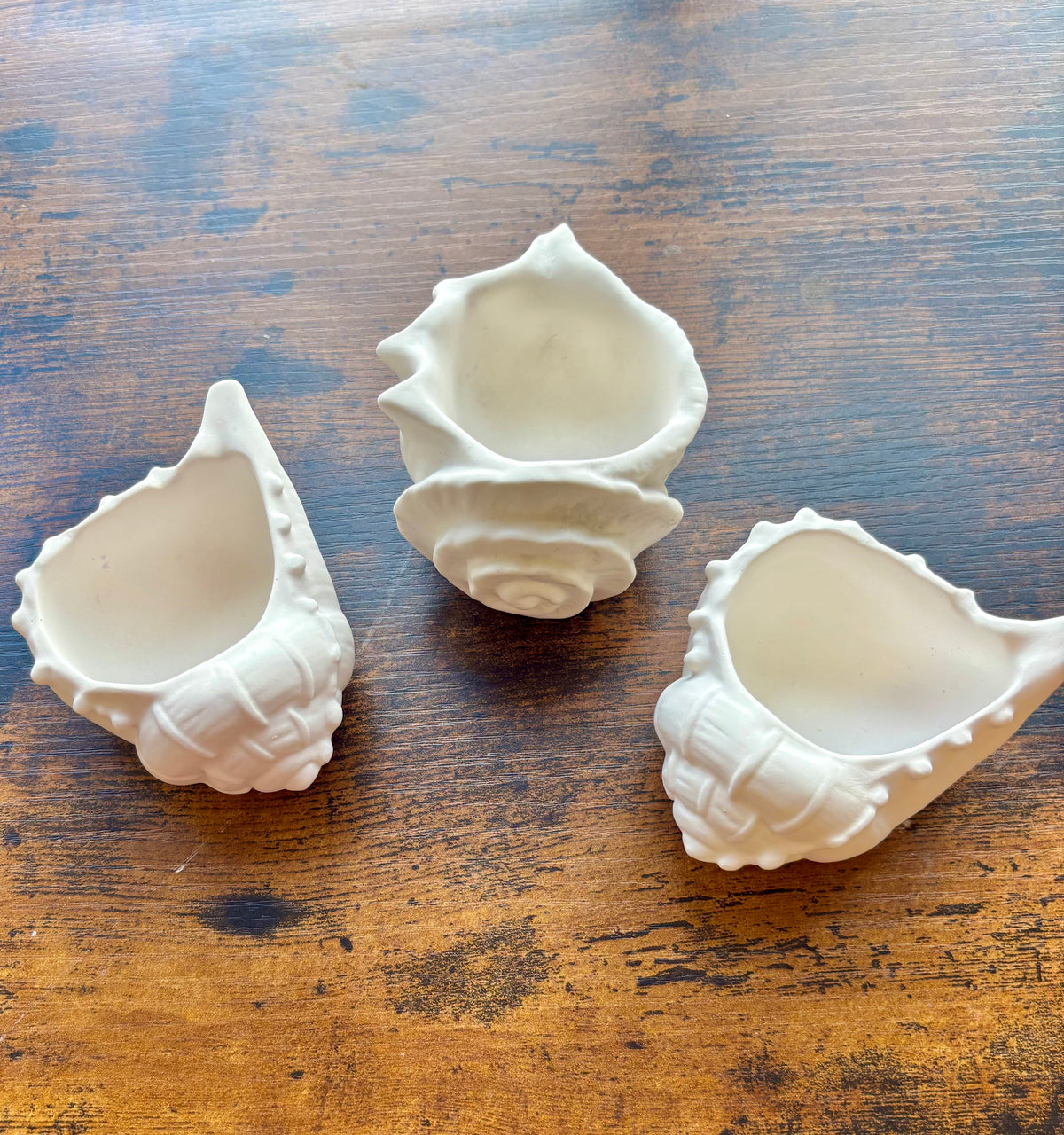 Under the Sea Shell Trio | Handmade Decorative Candle Set
