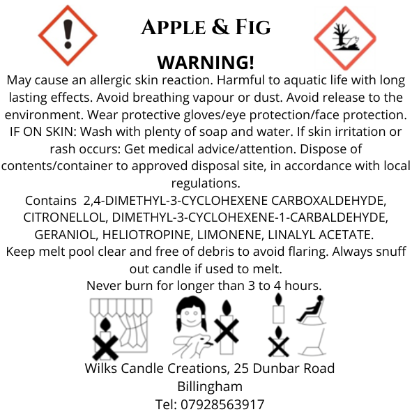 Apple & Fig Scented Candle image 1